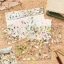 1261650c-ef9b-48c4-8b59-3ab2168809da.webp