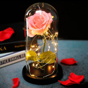 Rosa Eterna Cúpula de Vidrio - Base de Plástico - Imagen 2