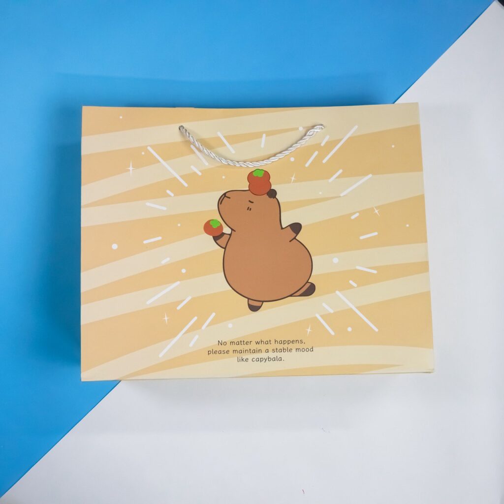 Bolsa de Regalo Grande Capybara Cute, 4 Modelos Surtidos
