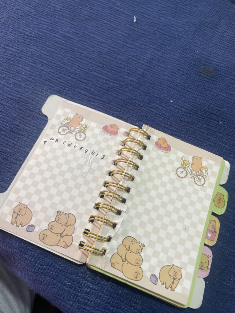 Imagen #1 de ANGELINA CONTRERAS