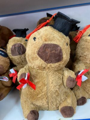 Peluche de Capybara graduacion 20  cm - Imagen 1