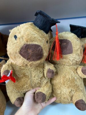 Peluche de Capybara graduacion 20  cm - Imagen 2
