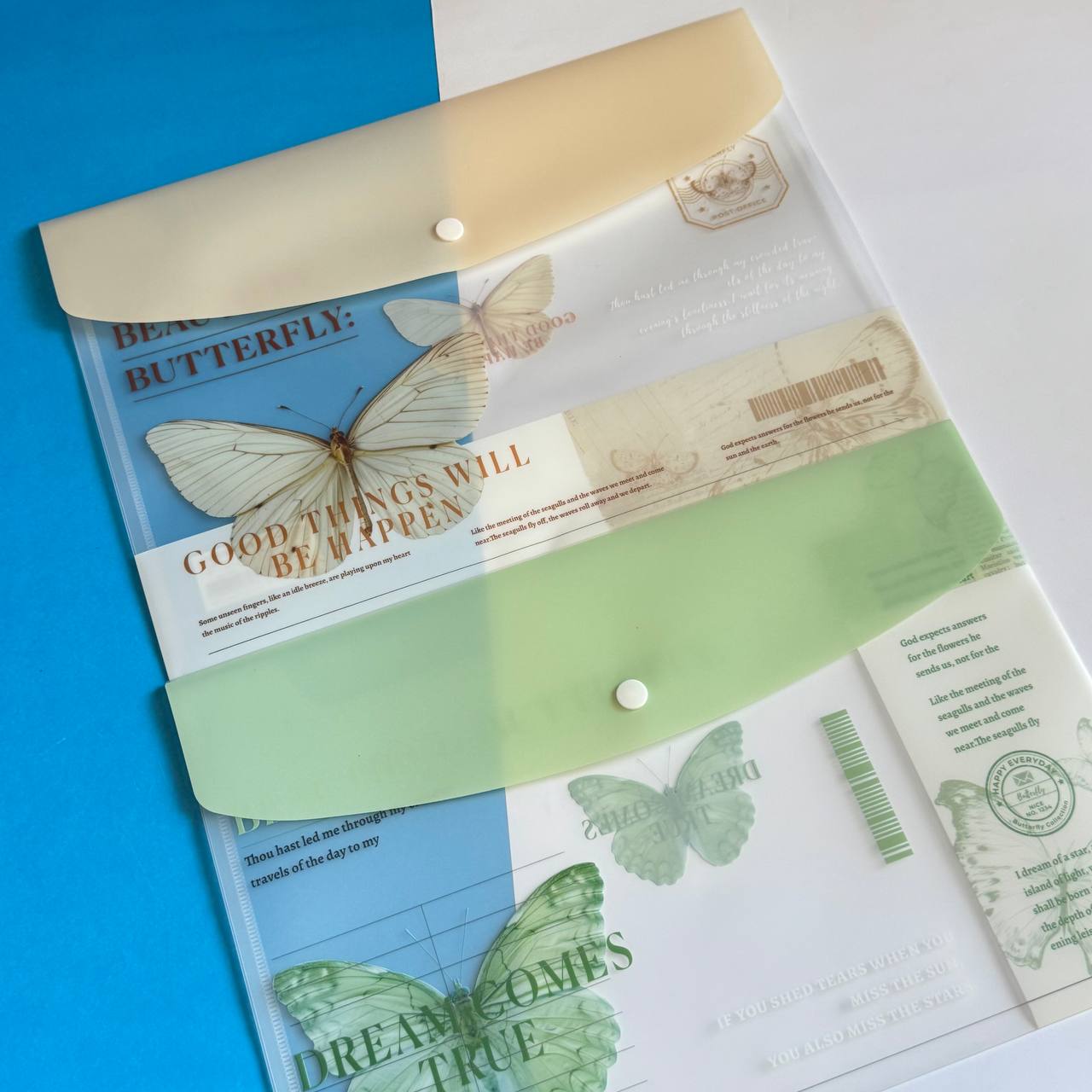 Carpeta Mariposa 3 Carpeta Mariposa - Imagen 3