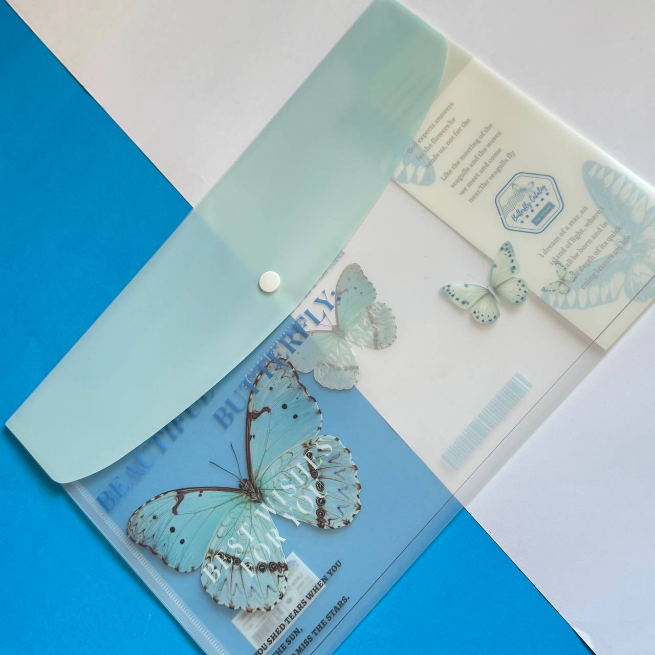 Carpeta Mariposa 2 Carpeta Mariposa - Imagen 2