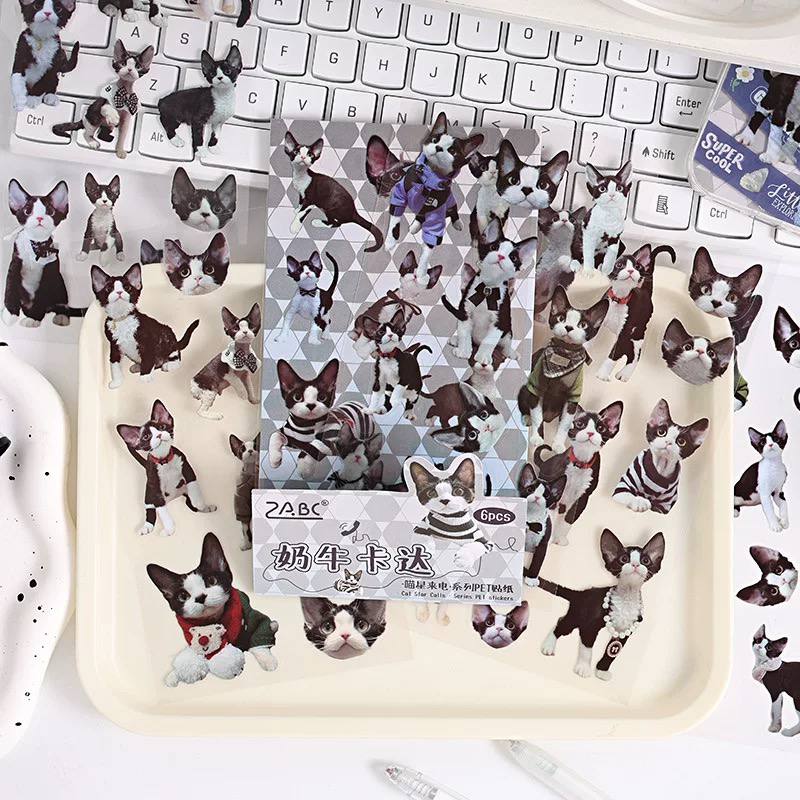 Stickers Gatos Tiernos y Divertidos 4 Stickers Gatos Tiernos y Divertidos - Imagen 4