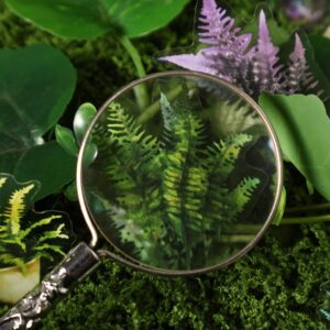 Stickers Mini Plantas de 20 Pegatinas - Imagen 3