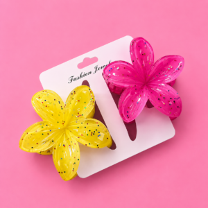 Set de 2 Pinches Brillantes